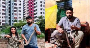 রাজধানীর বাসাবাড়িতে সাপের আতঙ্ক