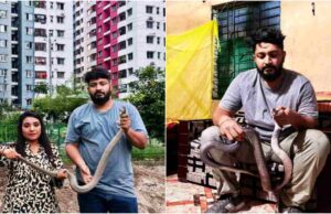 রাজধানীর বাসাবাড়িতে সাপের আতঙ্ক রাজধানীর বাসাবাড়িতে সাপের আতঙ্ক