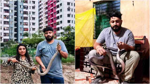 রাজধানীর বাসাবাড়িতে সাপের আতঙ্ক