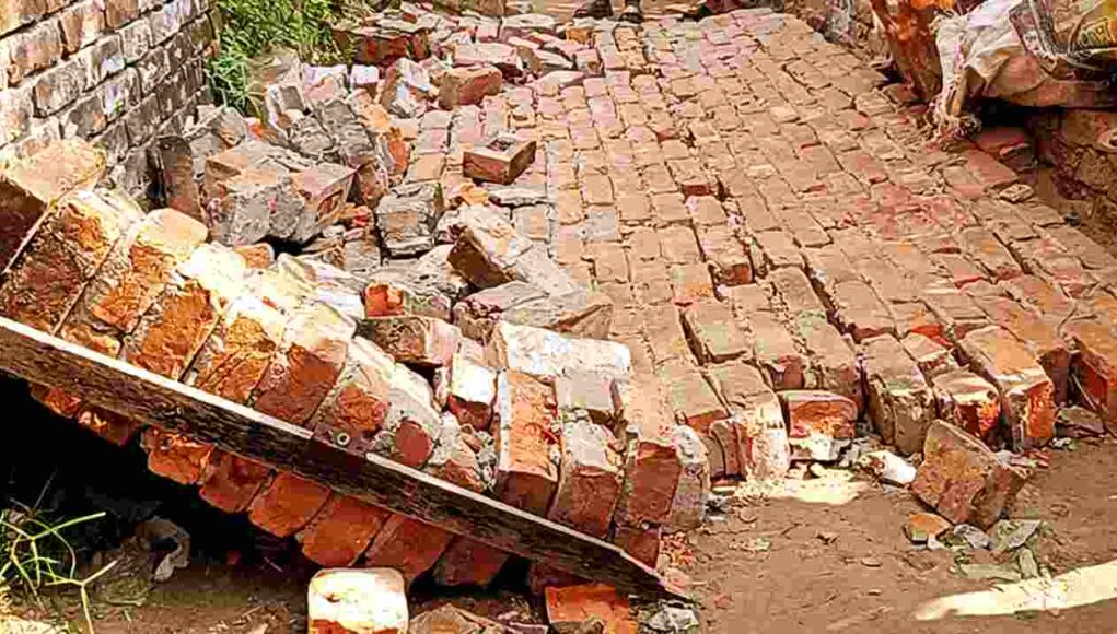 ভূমিকম্প: মায়ের কোলেই