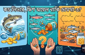 কড লিভার অয়েল vs ফিশ অয়েল vs ওমেগা-৩: একসাথে খাবেন নাকি আলাদা? ২০২৬ গাইড কড লিভার অয়েল vs ফিশ অয়েল vs ওমেগা-৩