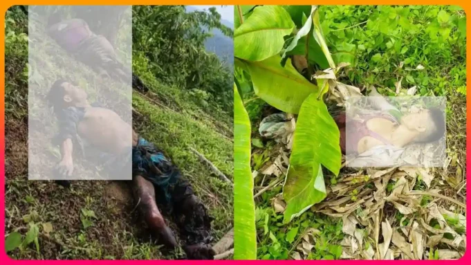 ঘুমধুম সীমান্তে মাইন