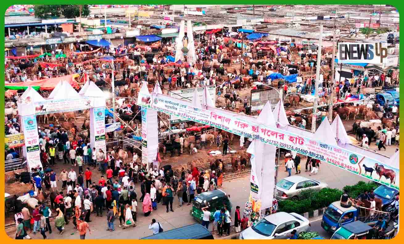 রাজধানীতে পশুর হাট