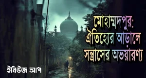 মোহাম্মদপুর সন্ত্রাস