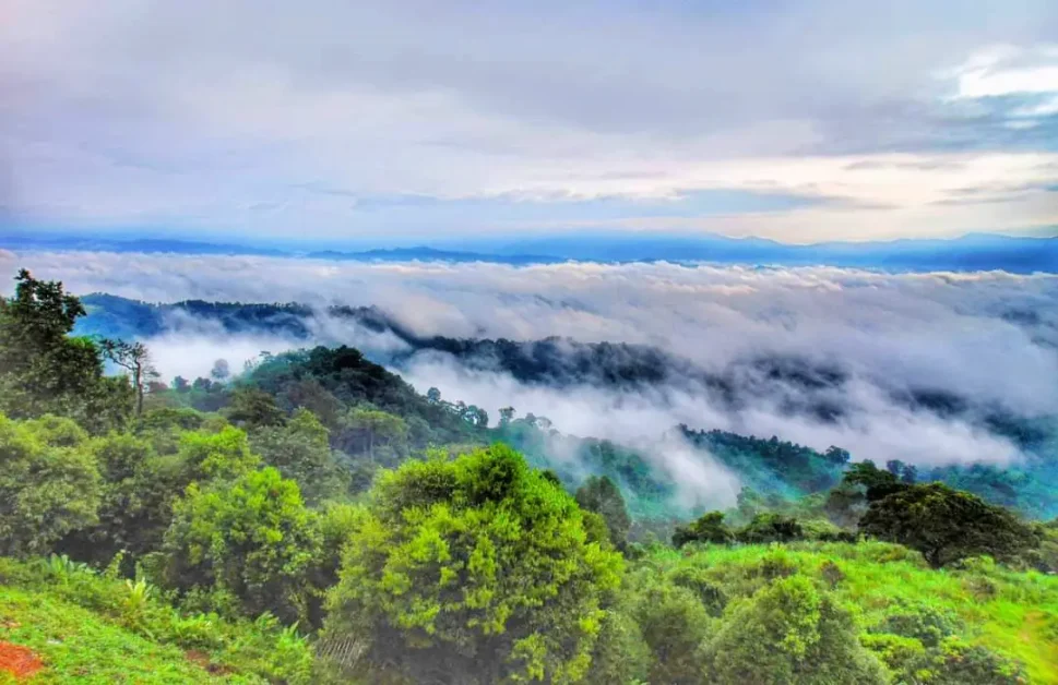 সাজেক ভ্যালি বাজেট ট্যুর - মেঘের উপত্যকা