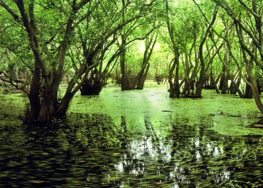 সিলেট ভ্রমণ গাইড ২০২৬