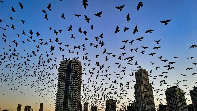 তেল আবিব আকাশ